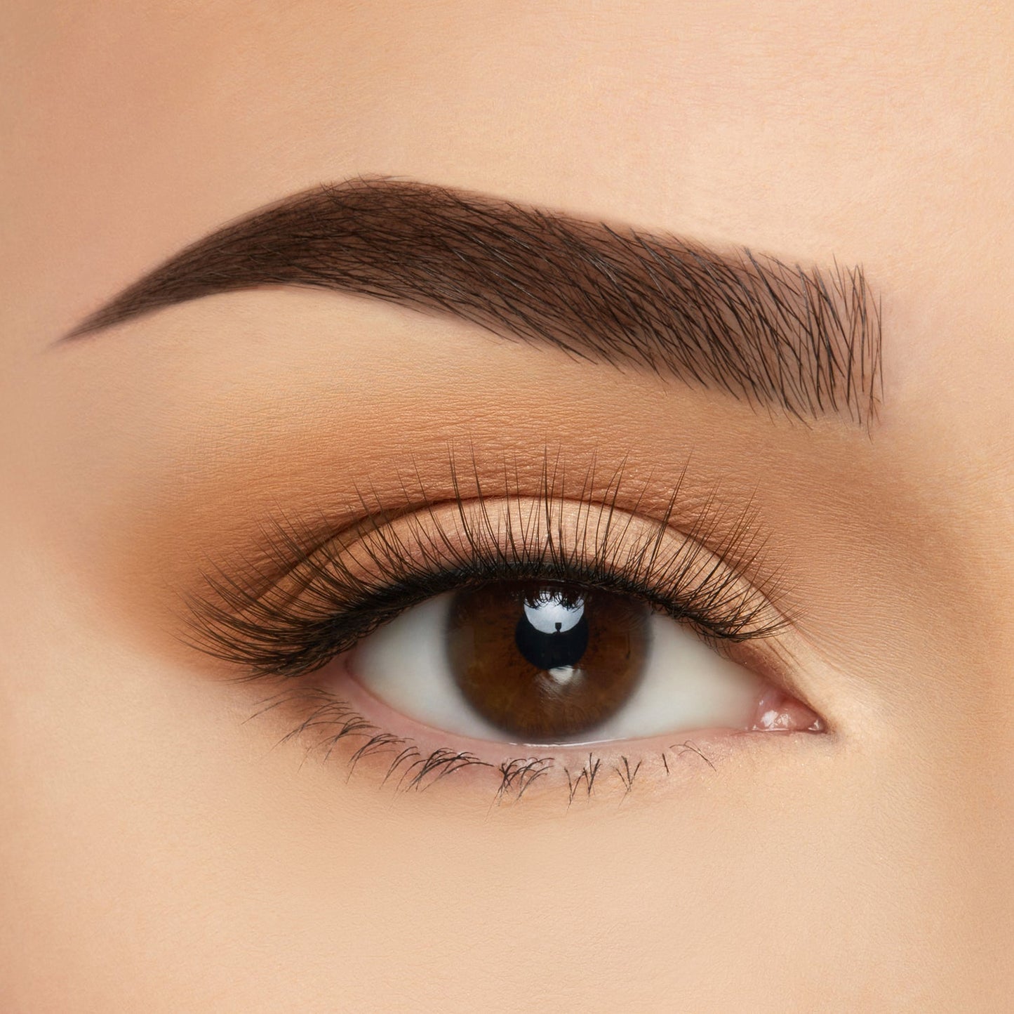 Fiji TMS Soft Silk Lashes