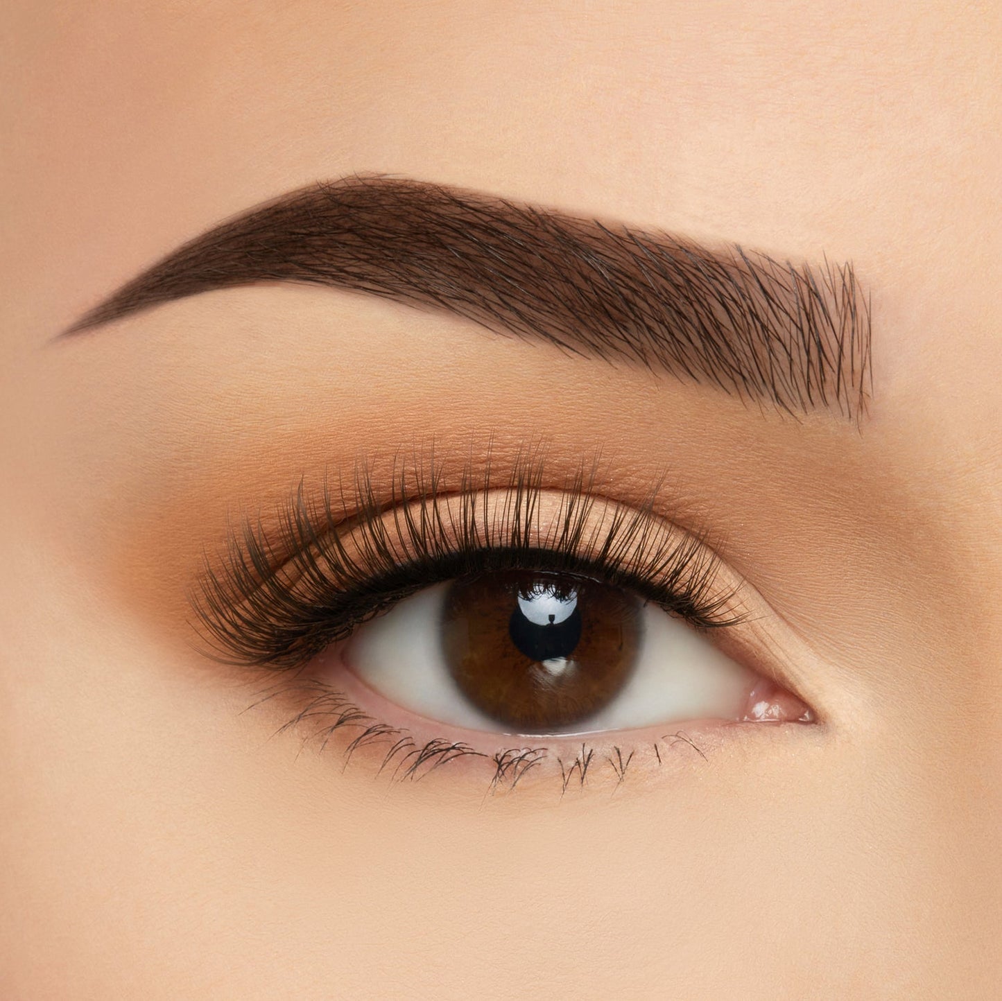 Los Angeles TMS Soft Silk Lashes