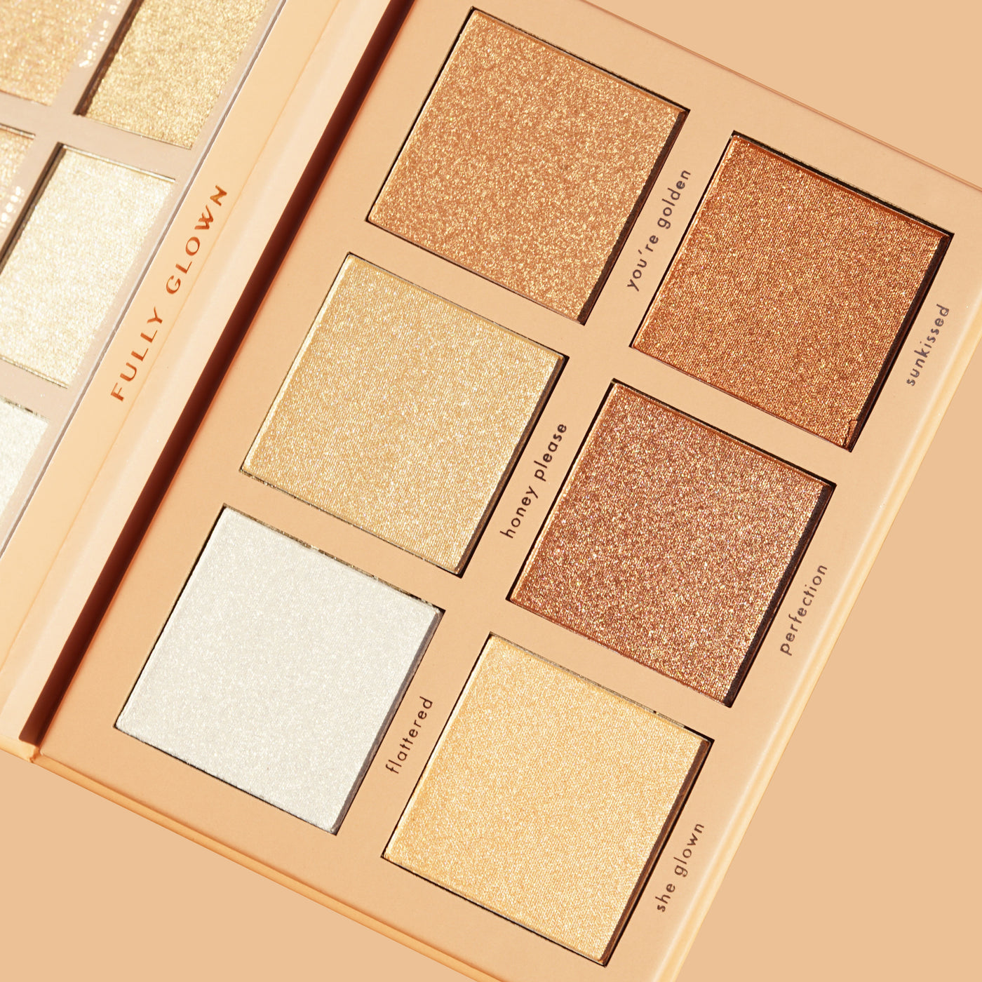 Fully Glown Highlighter Palette