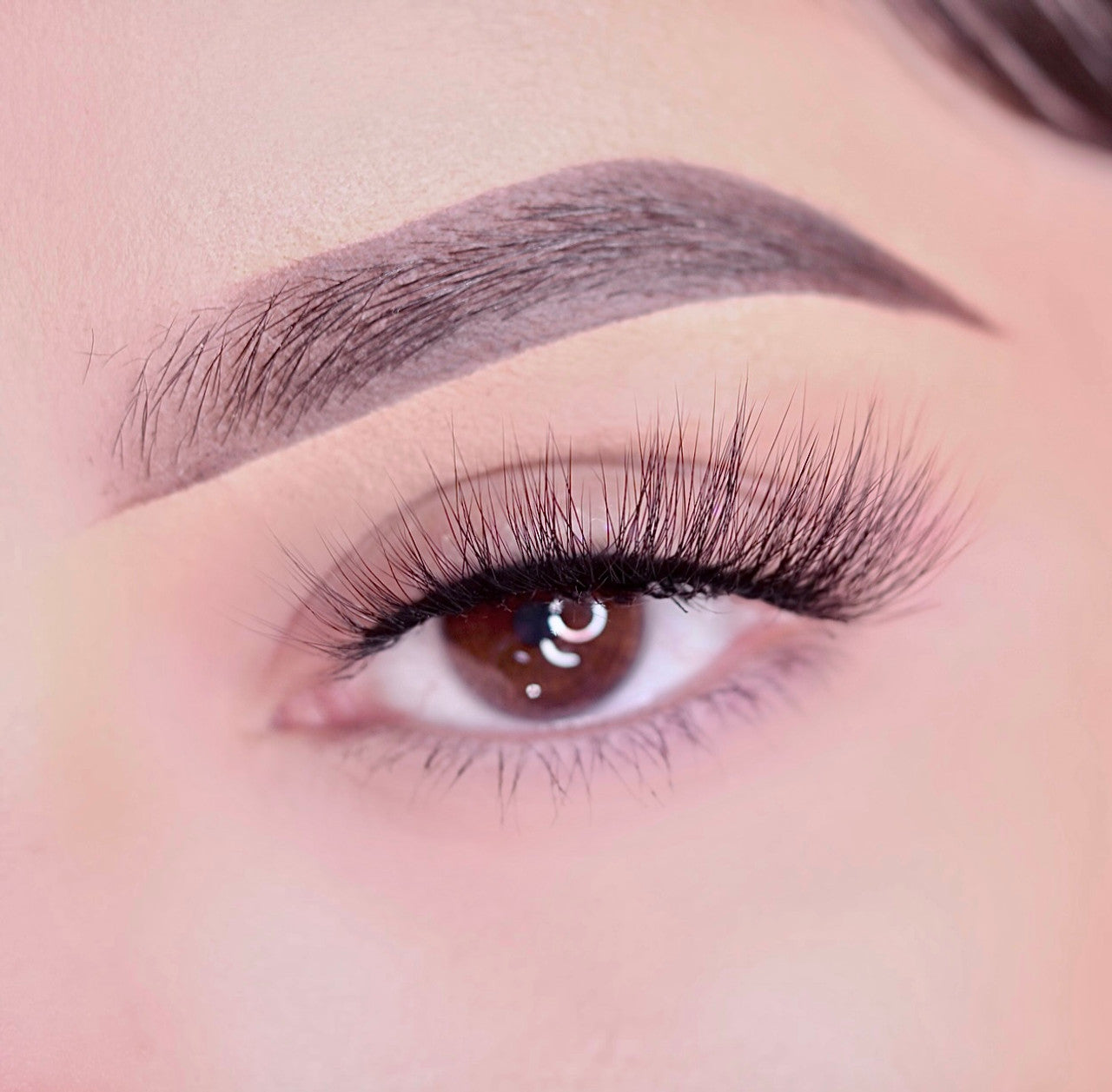 L24 (POP ON LASHES)