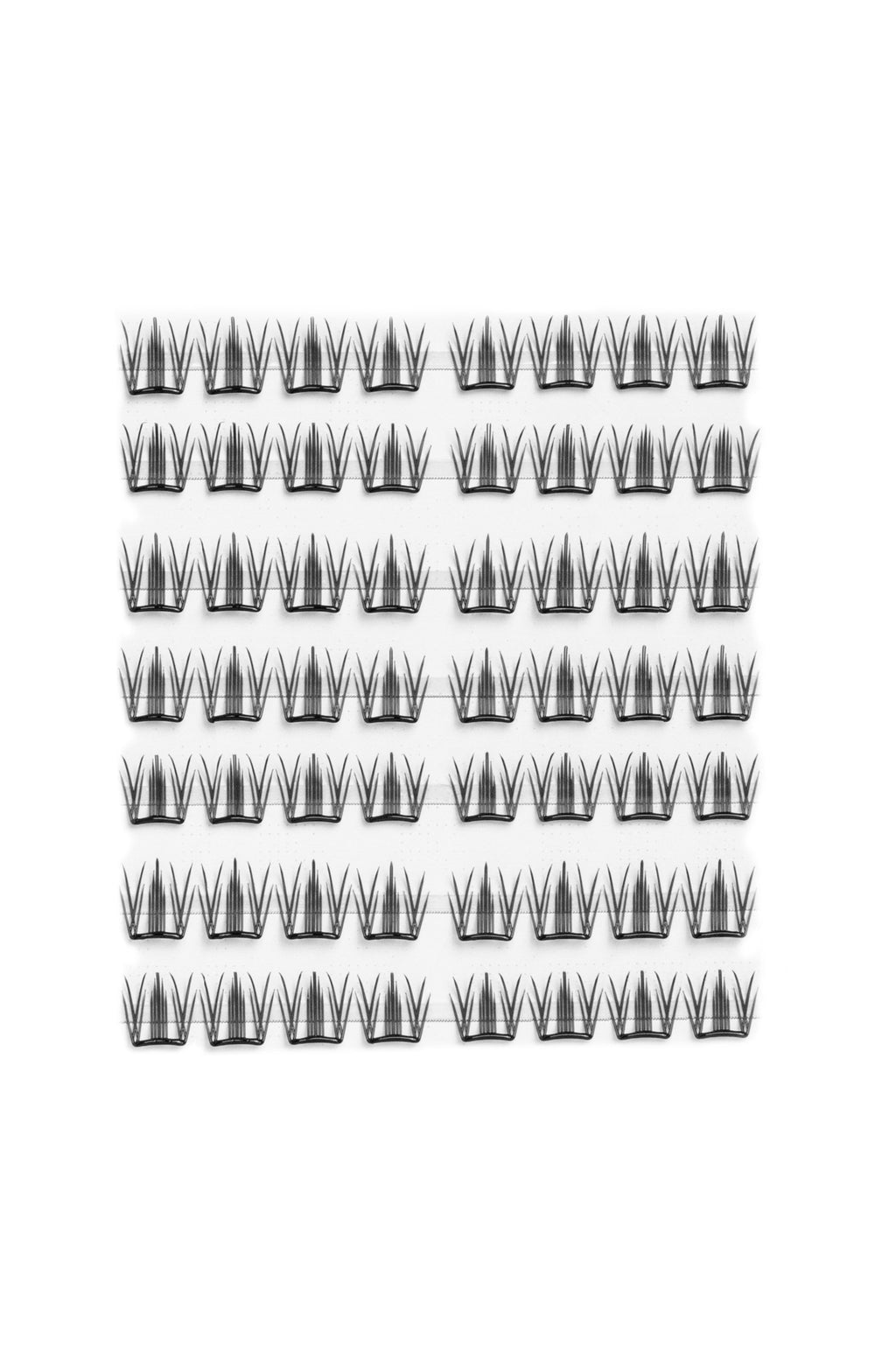 ON POINT (LASER LASHES)