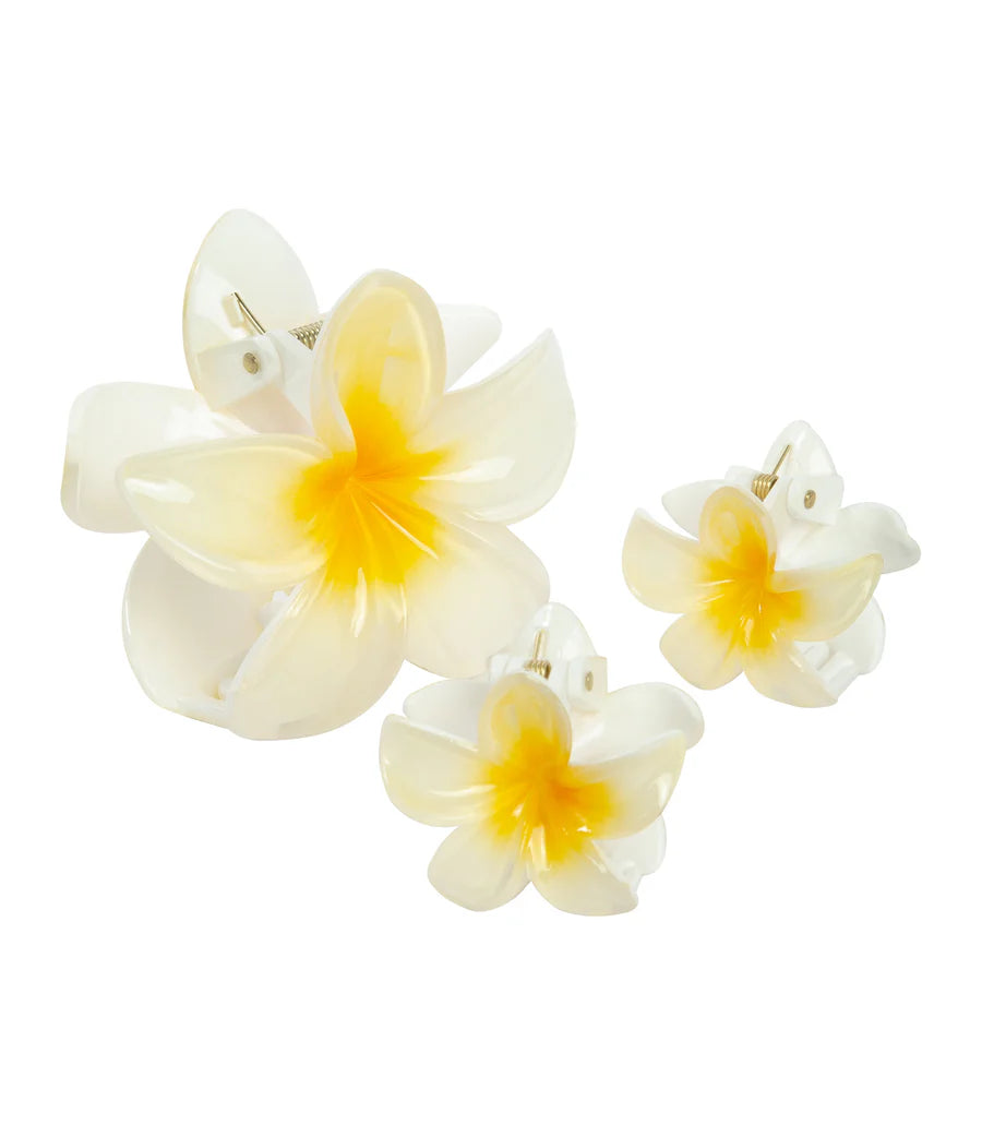 HAWAIIAN FLOWER CLIP SET OF 3