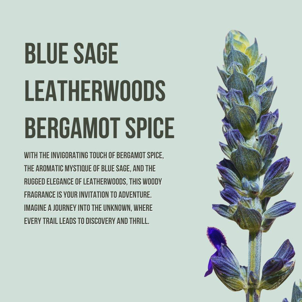 Body Collection Lotion and Mist Sets