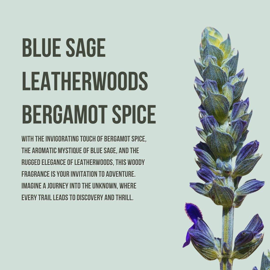 Body Collection Lotion and Mist Sets